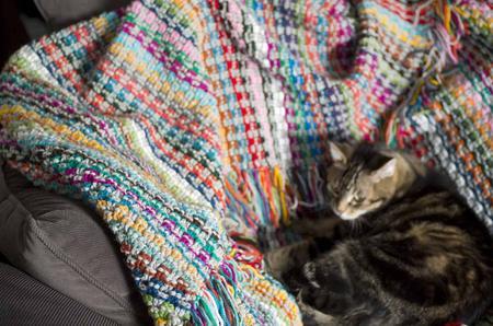 Pixel Blanket Crochet Pattern tribeyarns