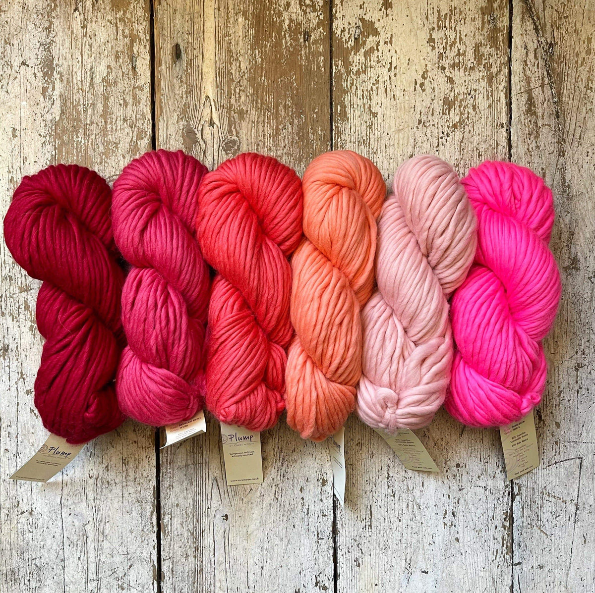 Plump Superchunky Mrs Moon