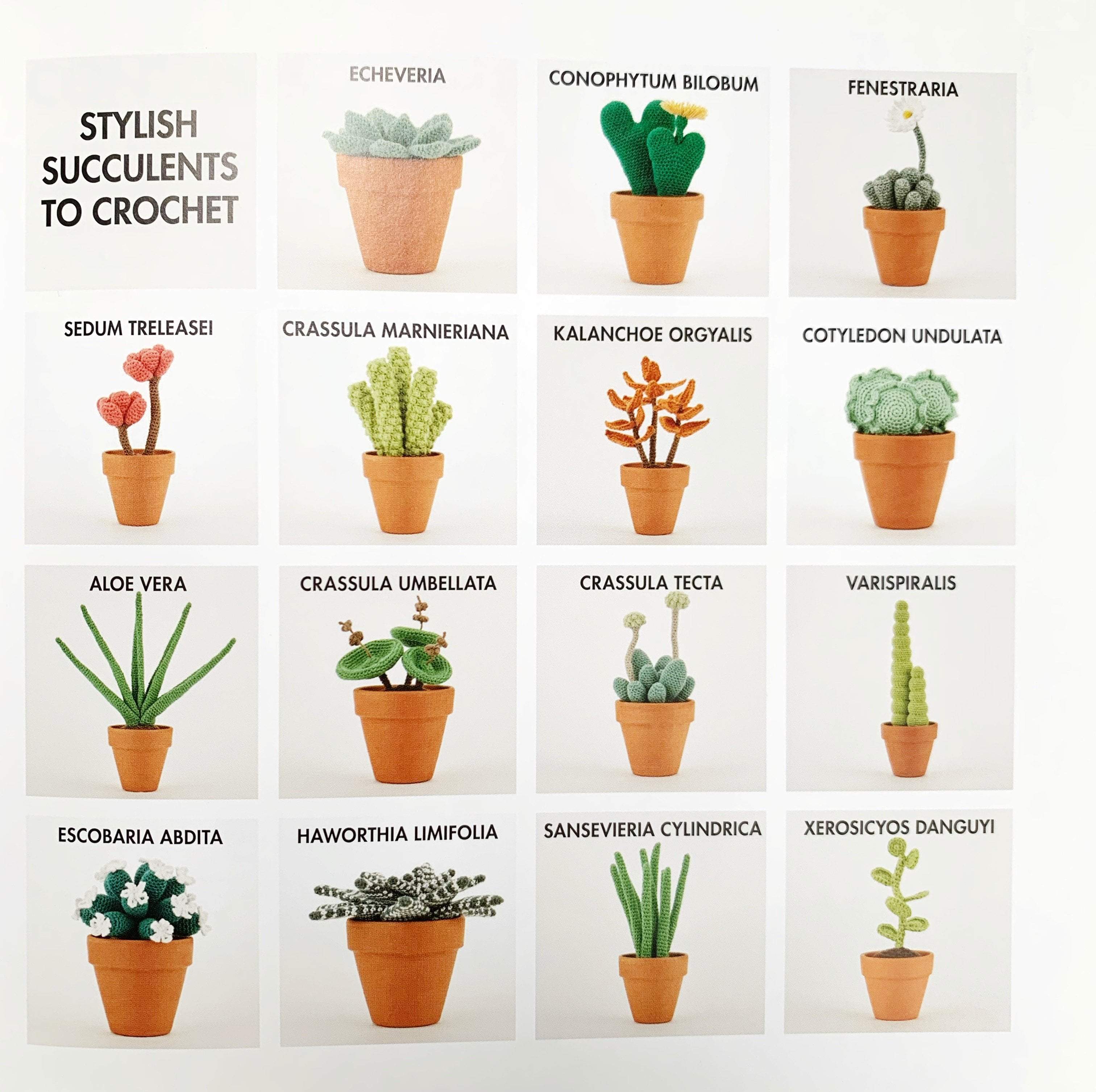 crochet succulents book Stylish Succulents to Crochet by Sarah Abbondio | Tribe Yarns, London
