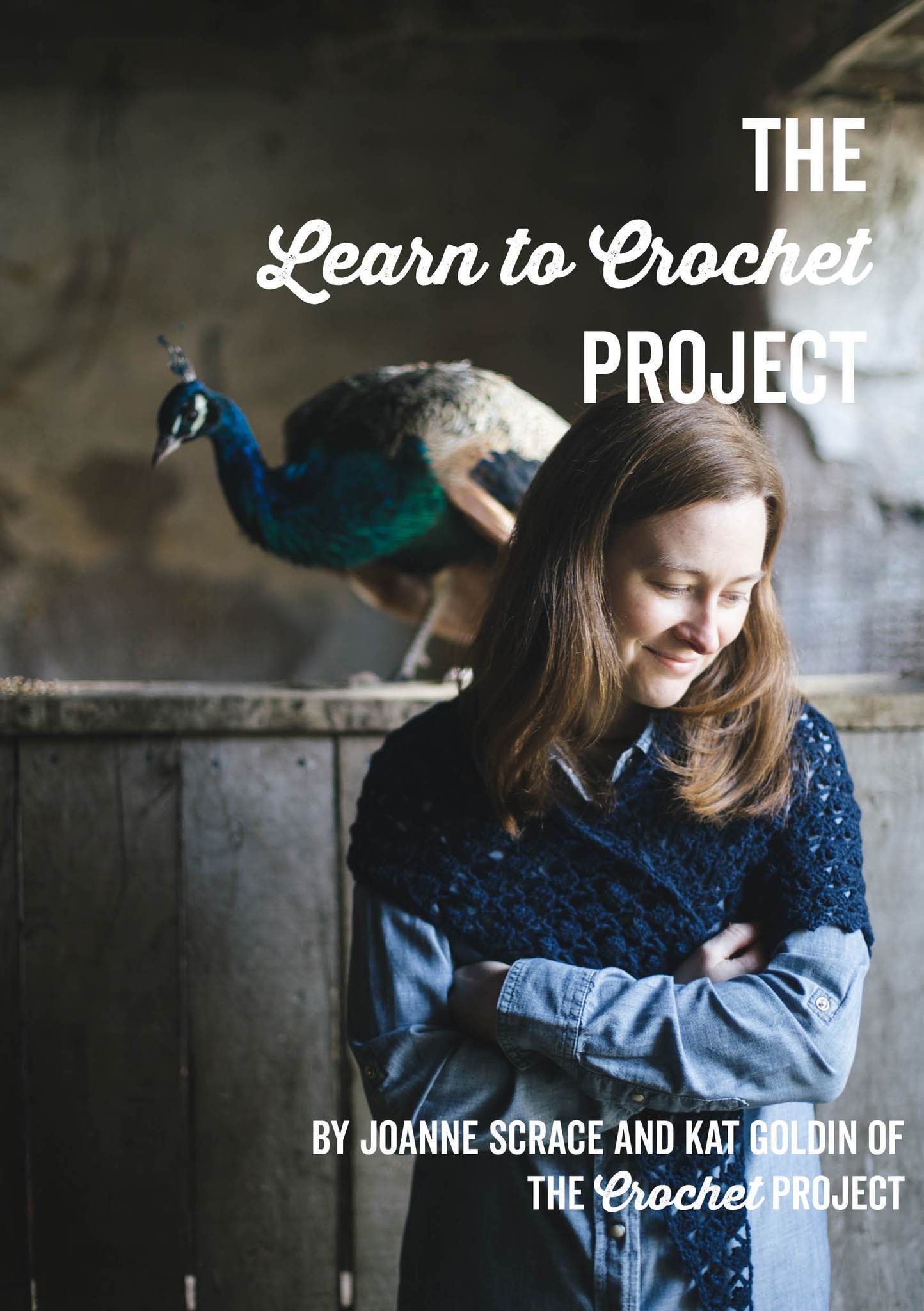 The Learn to Crochet Project Joanne Scrace